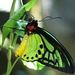 Profile Picture of Brian Glathar Sr (@bglatharsr) on Pinterest