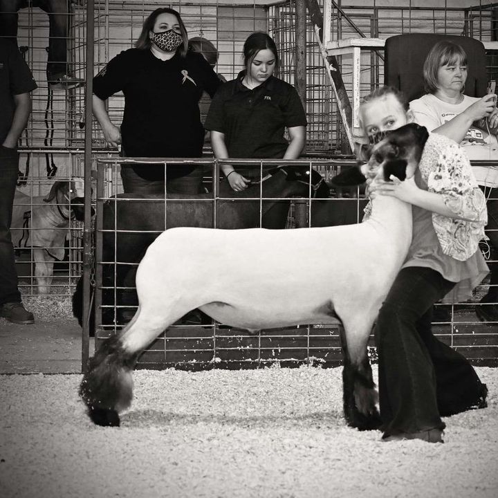 Profile Picture of James Courtney (@jamescourtney5) on Tiktok