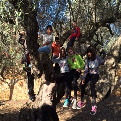 Profile Picture of Sijia Li (@sijia2004) on Tiktok