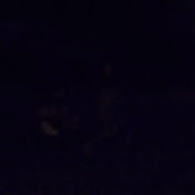 Profile Picture of Robert Berman (@islandexotik16) on Youtube