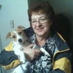 Profile Picture of Sandi Hansen (@sandiwinney) on Instagram