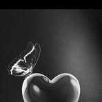 Profile Picture of Kariuki Jessy (@Kariuki-Jessy) on Facebook