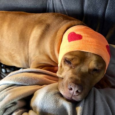 Profile Picture of Kate Stack (@stack_kate) on Twitter