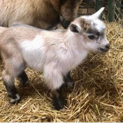 Profile Picture of Avery Wade (@AveryWa12360638) on Twitter