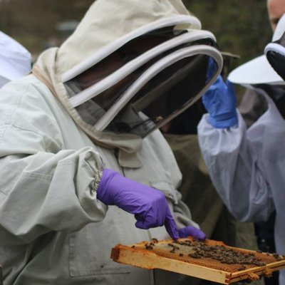 Profile Picture of Colin Edwards (@elthambees) on Twitter