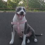 Profile Picture of Juliana Cabrera (@Juliana-Cabrera) on Facebook