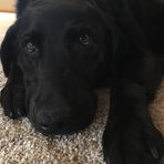 Scott Nordin - Facebook Profile Picture of Scott Nordin (@scott.nordin.7) on Facebook