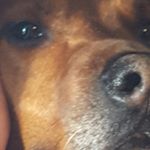 Profile Picture of dalton_potts324 (@dalton_potts324) on Instagram