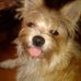 Profile Picture of Dixie Horton (@dixie.horton.98) on Facebook
