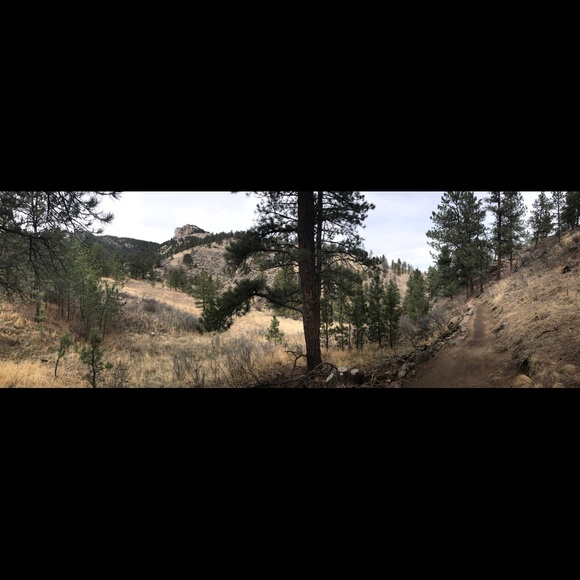 Profile Picture of Peyton Zickefoose (@pzigg__) on Poshmark