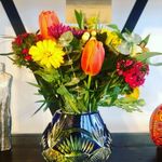 Veronica Haselbauer Tarraza - Instagram Profile Picture of Veronica Haselbauer Tarraza (@verohasel) on Instagram