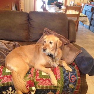 Profile Picture of Richard Gisler (@richard.gisler.37) on Facebook