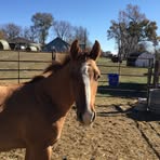 Profile Picture of Maria Kavanaugh (@maria.kavanaugh.2025) on Facebook