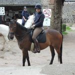 Profile Picture of Adrian Macleod (@adialexmac) on Instagram