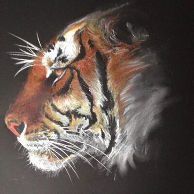 Profile Picture of Stephen McCue (@McCf1) on Twitter
