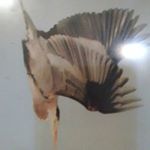 Profile Picture of Marshall Lancaster (@lancastermarshall) on Instagram