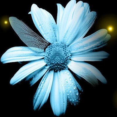 Profile Picture of Howie Yuen (@HowieYuen) on Twitter