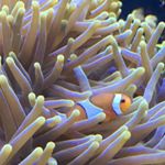 Profile Picture of Kevin Darcy (@kdarc28) on Instagram