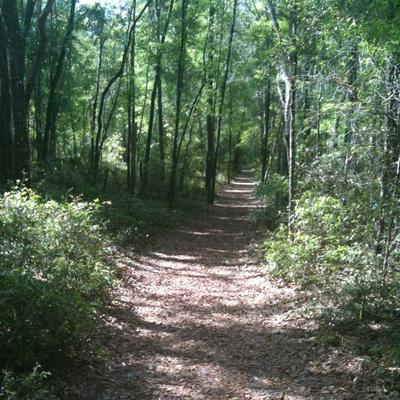 Profile Picture of Alison Kendrick (@kendrickalison5) on Twitter