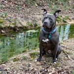 Profile Picture of Robert spike (@robert_spike) on Instagram