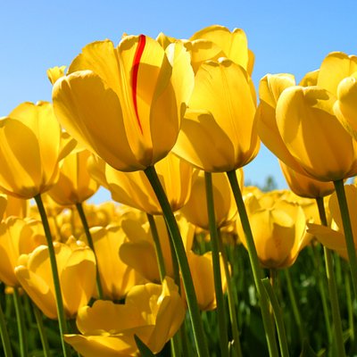 Profile Picture of Graciela Campos Pedr (@gycp123) on Twitter