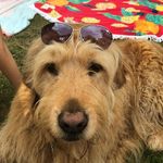 Mark Salvati - Instagram Profile Picture of Mark Salvati (@marksalvatii) on Instagram