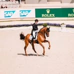 Profile Picture of Daniel Bachmann (@Daniel-Bachmann) on Facebook