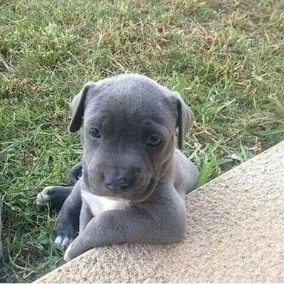 Profile Picture of Bartolo Ramirez (@Bartolo92333004) on Twitter