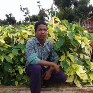 Profile Picture of ASHWIN DEV. FRIENDS (@Ashwindevsaroj1) on Twitter
