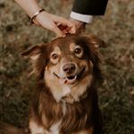 Profile Picture of Wrigley Robert Gallagher (@bigwrig17) on Instagram