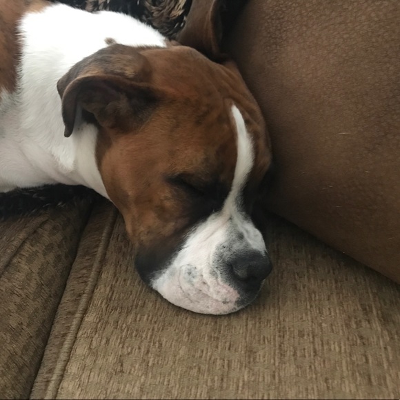 Tobin Dunlea - Poshmark Profile Picture of Tobin Dunlea (@tobin12345) on Poshmark