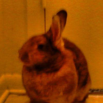 Profile Picture of Nick Valery (@1Nickvalery) on Twitter