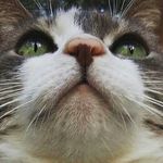 Profile Picture of FAT AMY (@fat_amy_friday) on Instagram