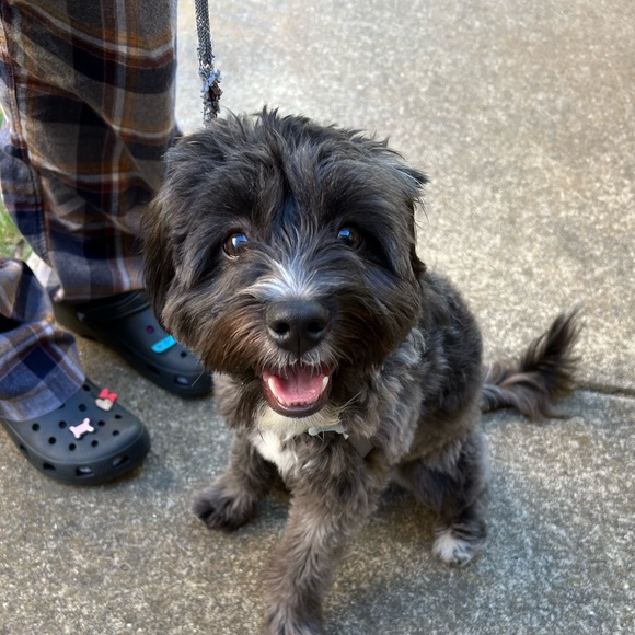 Profile Picture of Jayla Curtis (@jaybird124) on Poshmark