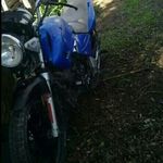 Profile Picture of Roberto Regner (@regner.roberto) on Instagram