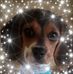 Profile Picture of Pam Probst (@pam.probst.77) on Facebook
