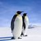 Profile Picture of Larry Passwaters (@larry.passwaters.1) on Facebook