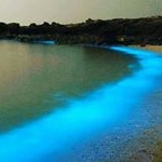 Profile Picture of 製作幸福 (@steveniden0712) on Instagram