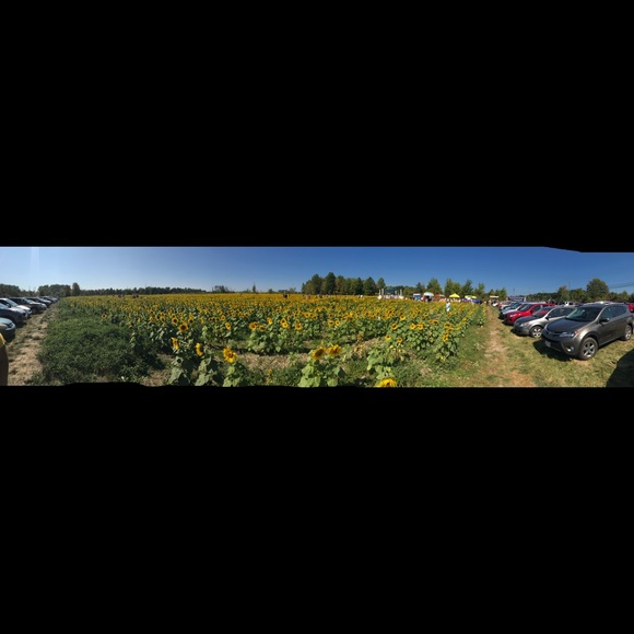 Profile Picture of Kent Koeth (@kentak12) on Poshmark