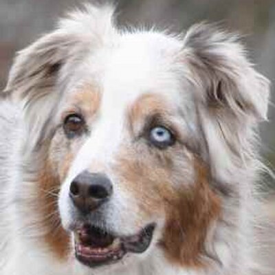 Profile Picture of Mark Dunlap (@mdunlap19) on Twitter