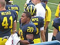 Profile Picture of Michigan Wolverines football statistical leaderson Wikipedia