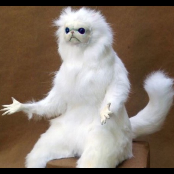 Profile Picture of Camryn Siverson (@siversonc123) on Poshmark