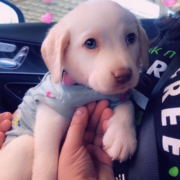 Profile Picture of Isabel Gomez (@isabel1164) on Poshmark