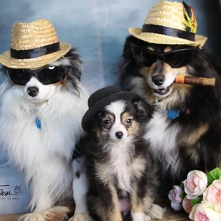 Profile Picture of Cindy (@valleyviewfarm) on Instagram