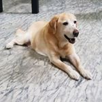 Profile Picture of Stanley Lu (@s0917150958) on Instagram