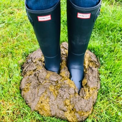 Profile Picture of Carly Taylor (@wellies4cowpats) on Twitter