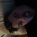 Profile Picture of Chris Henshaw (@chris.r.henshaw) on Facebook