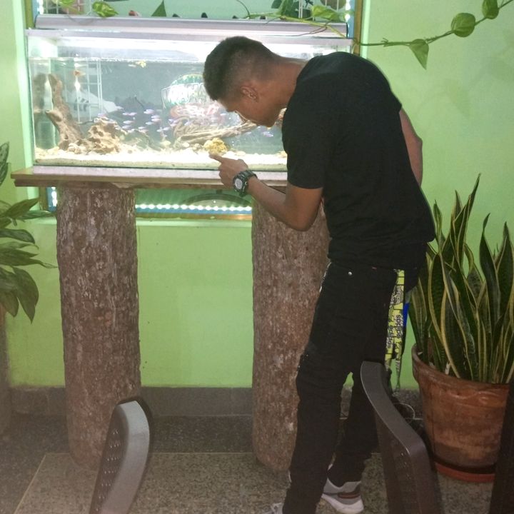 Profile Picture of Joseph Carlozzi (@josephcarlozzi9652) on Tiktok