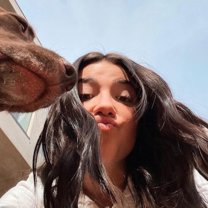 Profile Picture of hey im andrew, lol🤠 (@.andrewdamelio) on Tiktok