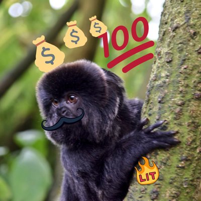 Profile Picture of Marcus Birk (@marcus_birk) on Twitter